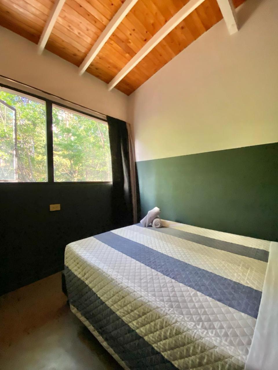 ホテル Casa Mosaiko Patio Bonito メデジン エクステリア 写真